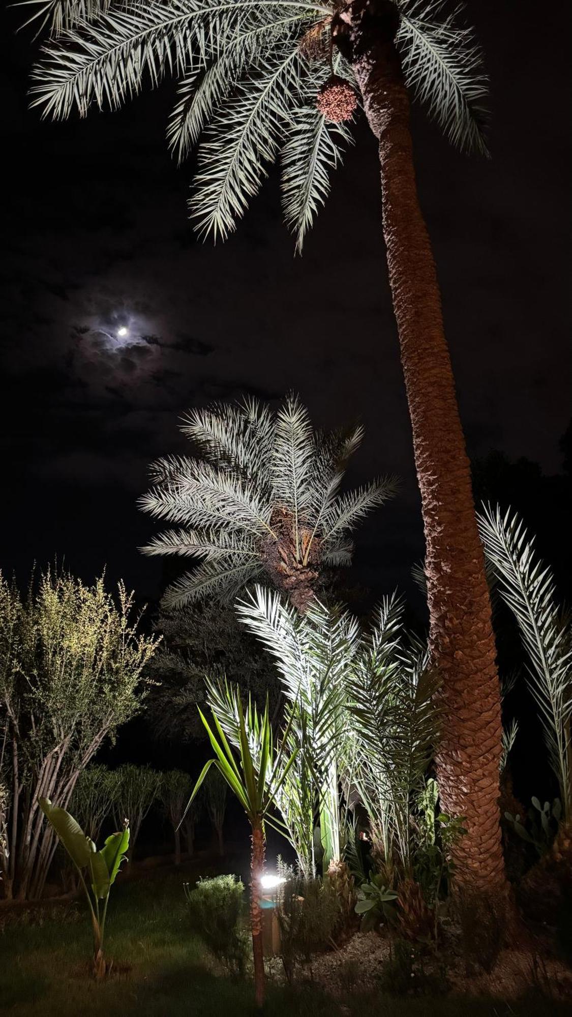 Tres Joli Appart A La Palmeraie Coup De Coeur Marrakesh Exterior foto