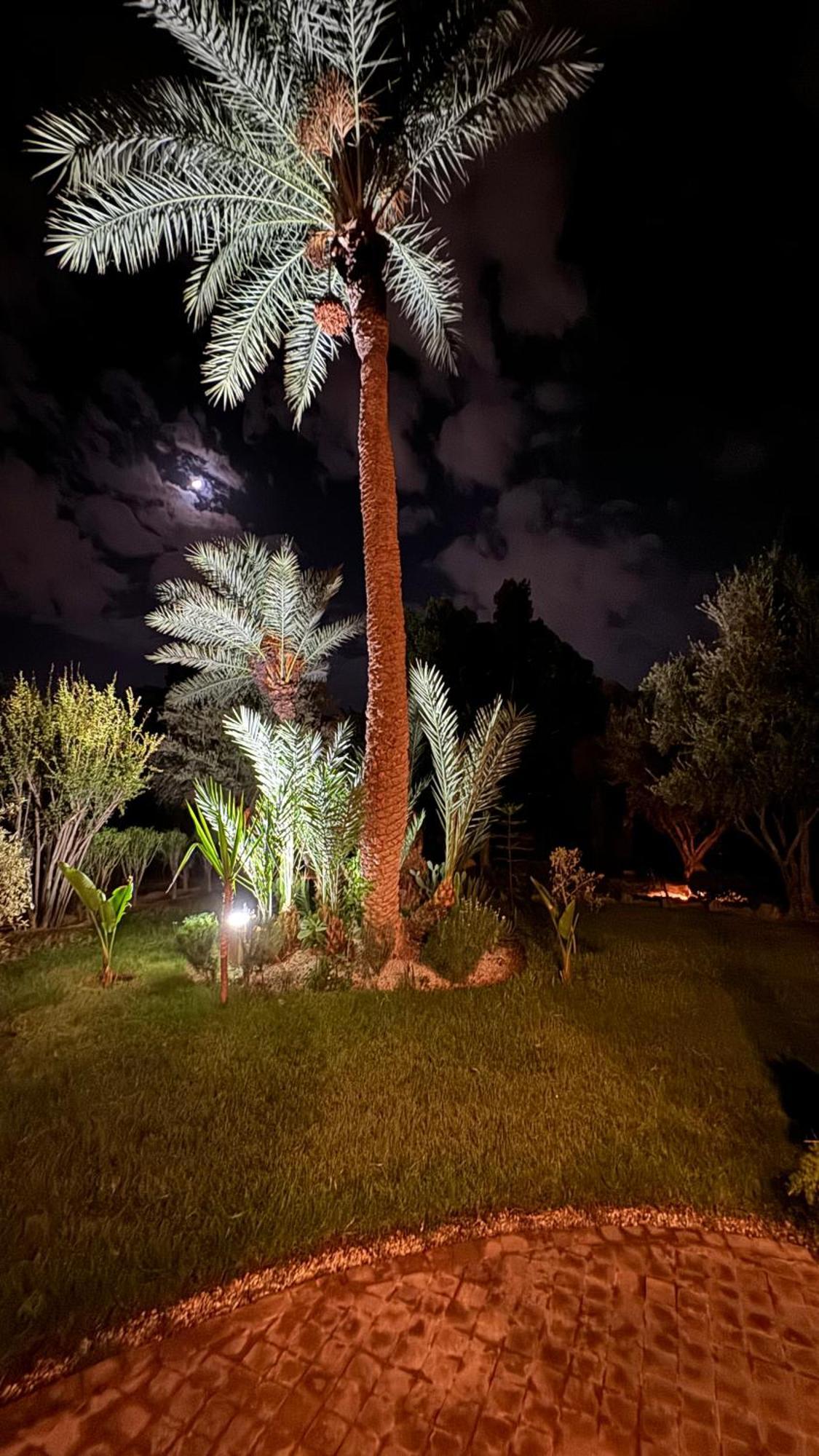 Tres Joli Appart A La Palmeraie Coup De Coeur Marrakesh Exterior foto